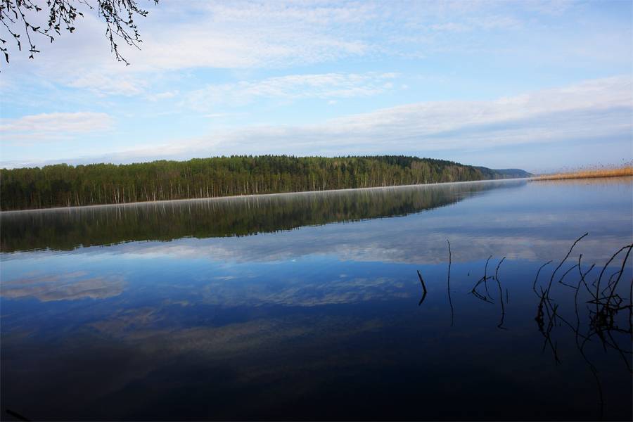 Элитные участки на берегу озера Выборгский р-н